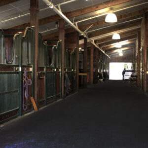 Animal Matting: Animat