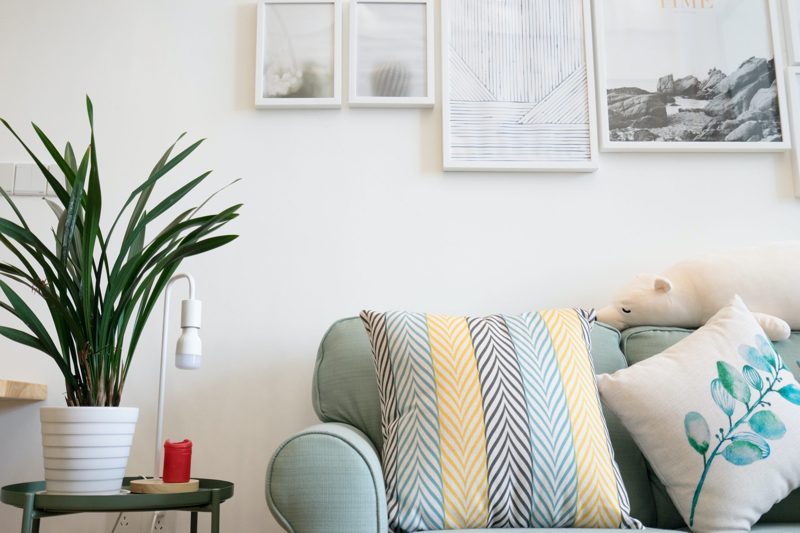 Home & Decor